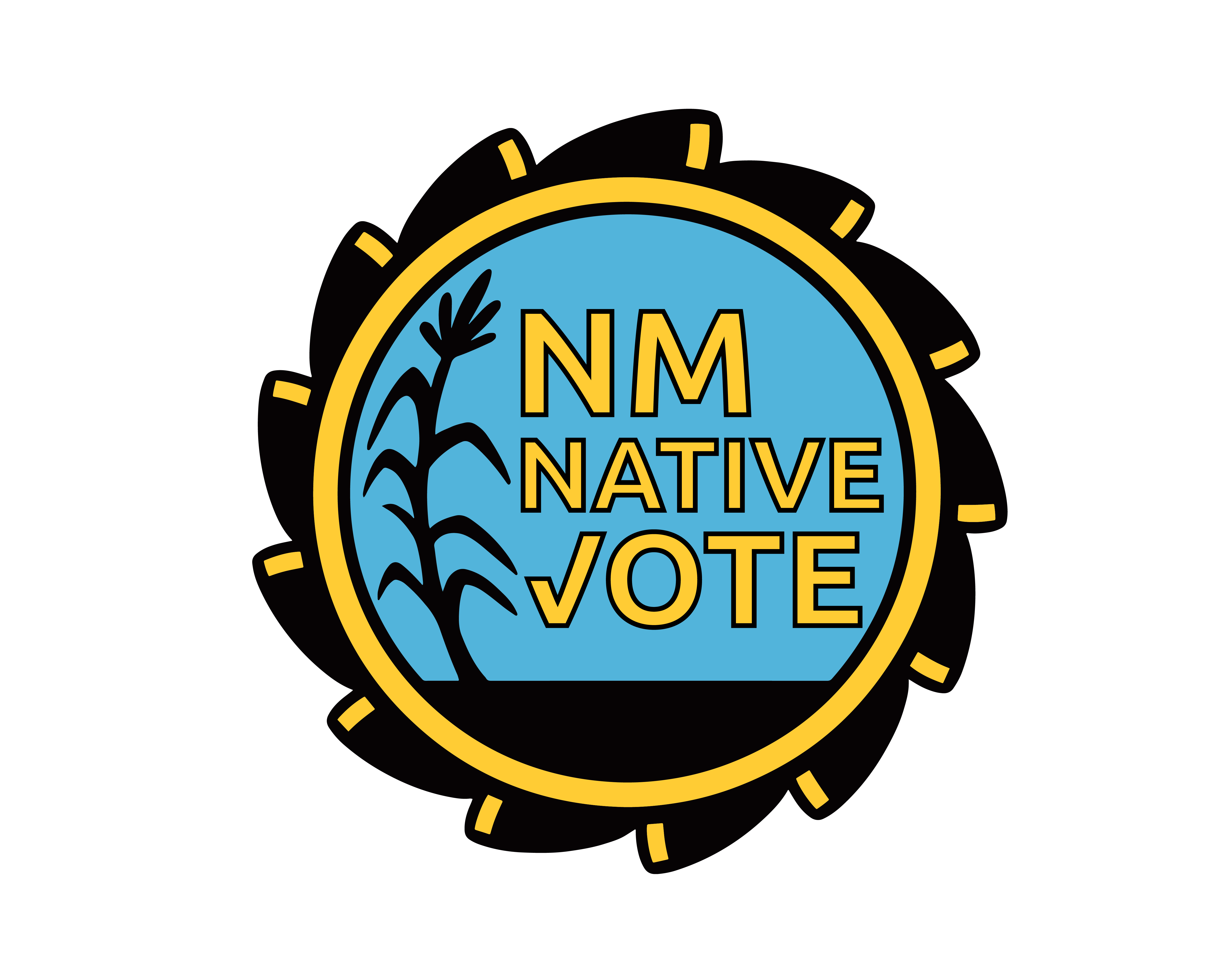 NM Native Vote